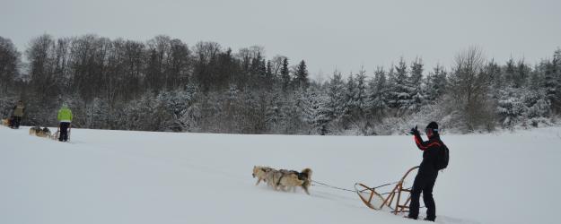 initiation en traineau à chien dans le Doubs, attelage de chiens de traineau dans le Doubs