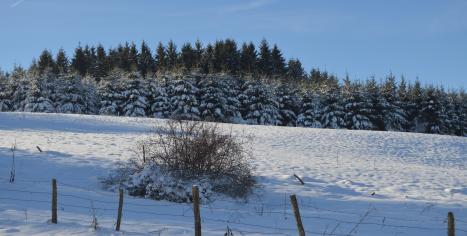 paysages enneigés Ferme sur la Roche 25380 Belleherbe